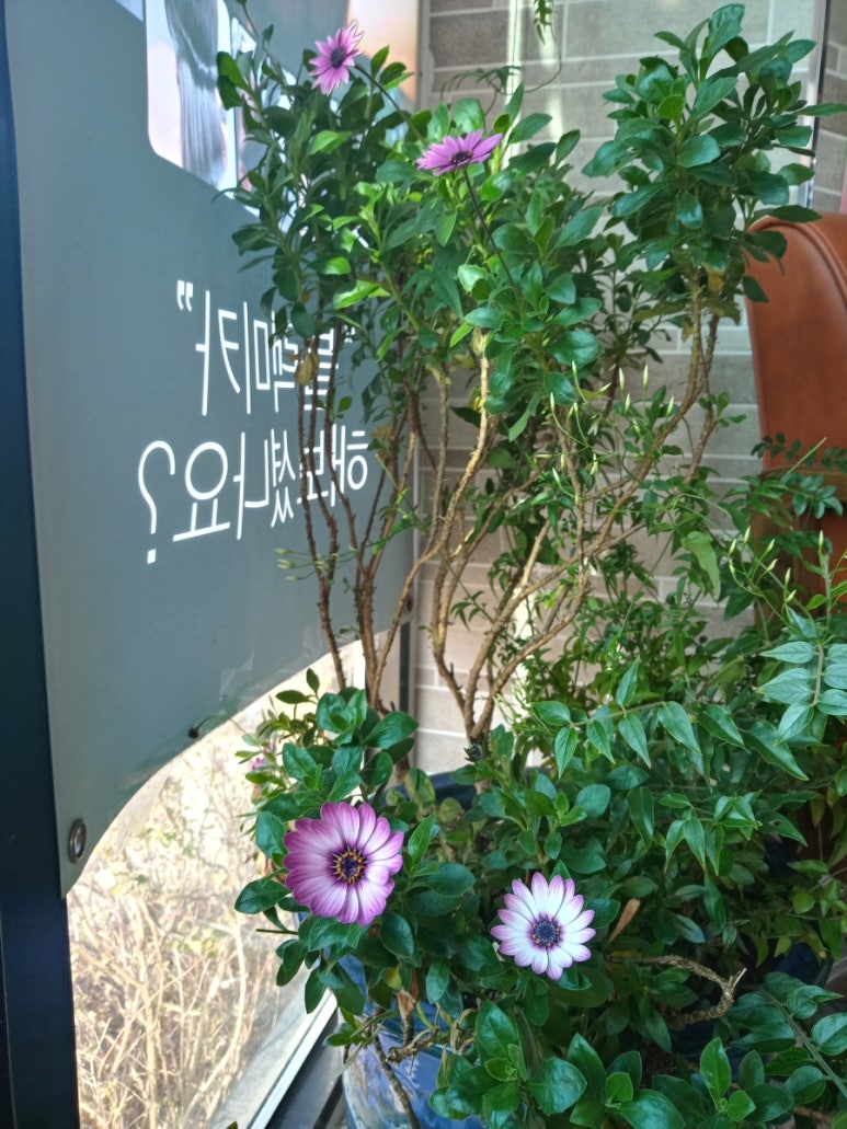 예쁨미장원 이미지