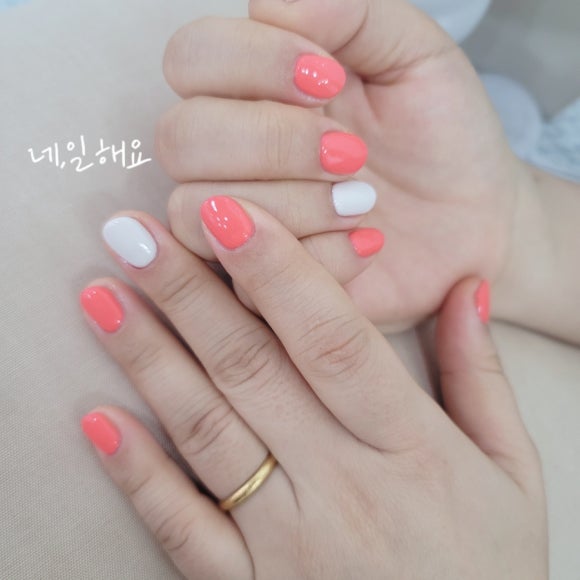 네;일해요 이미지