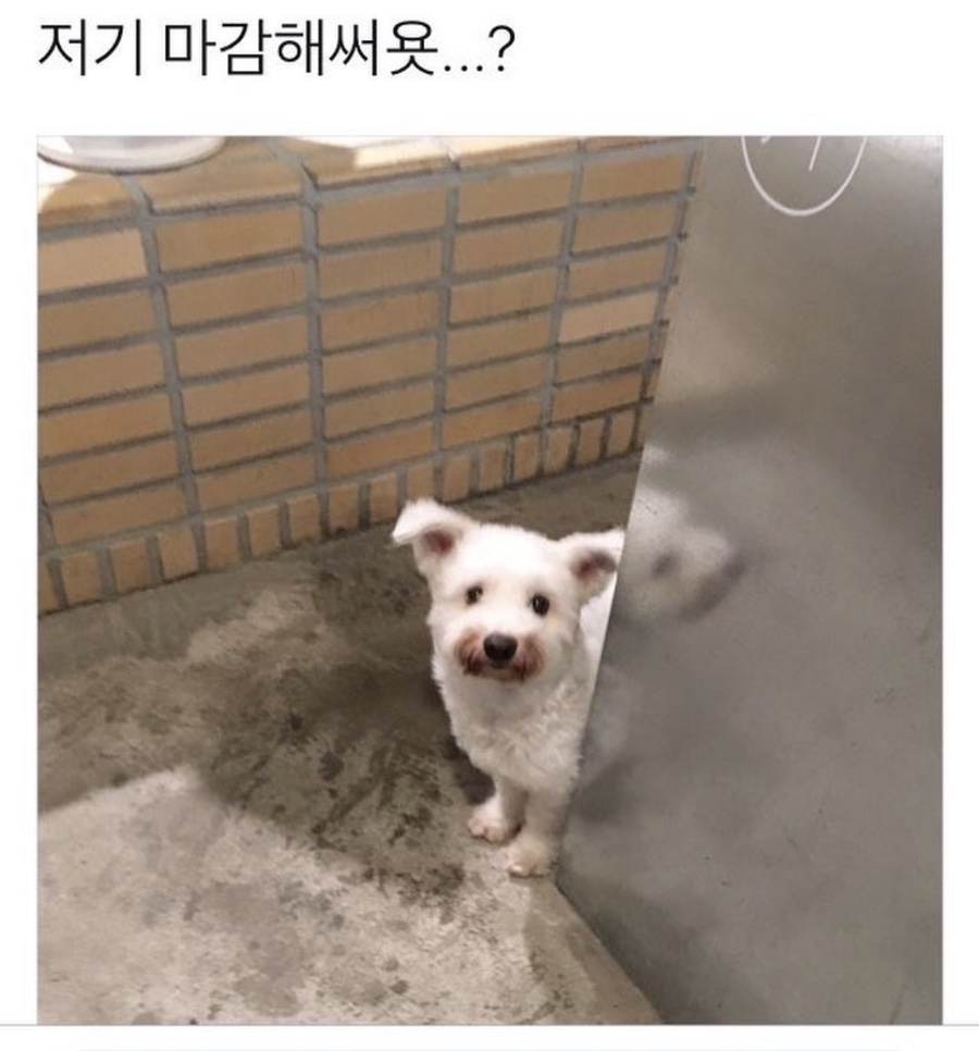 왕순두부 이미지