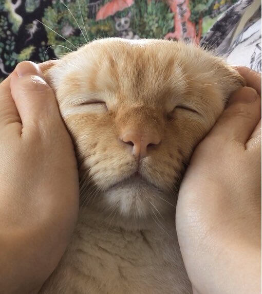 강가에카페 이미지