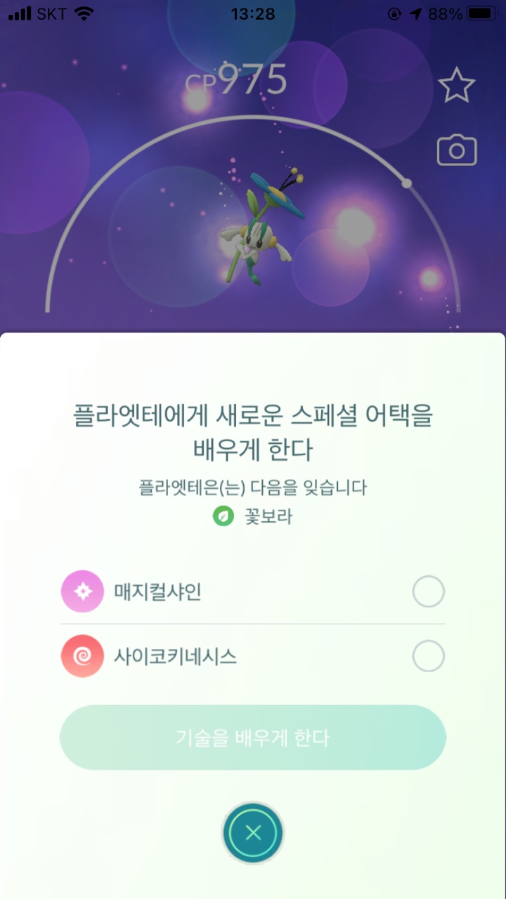 꽃보라화원 이미지