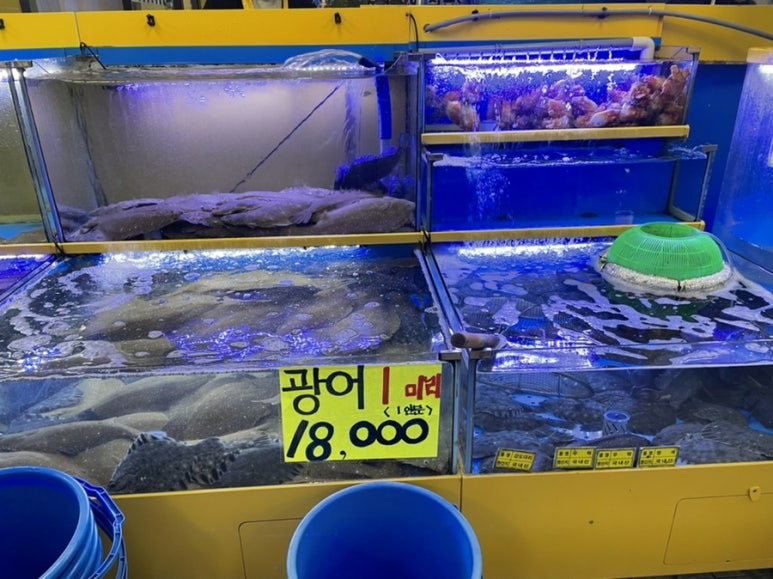 광어1마리 18000 이미지