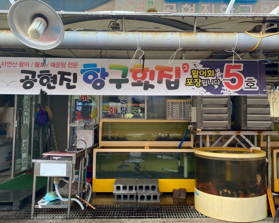 공현진항구횟집 이미지