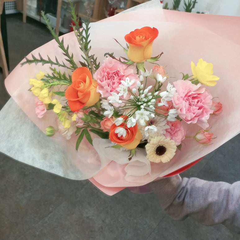 엘라임 이미지