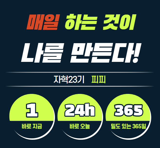 피피나인 이미지