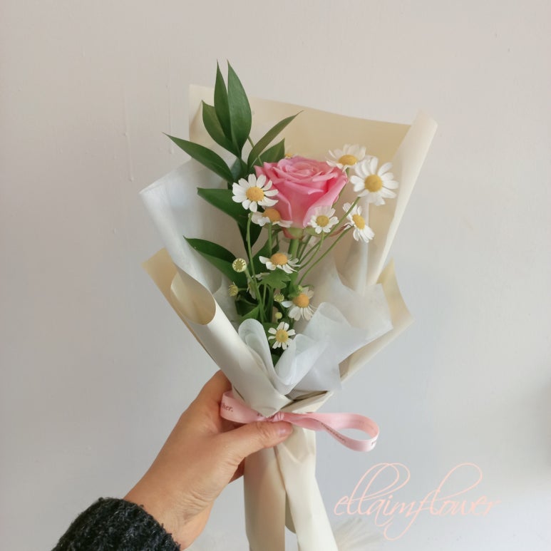 엘라임 이미지