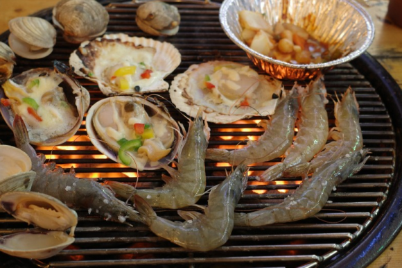 조개바다 이미지