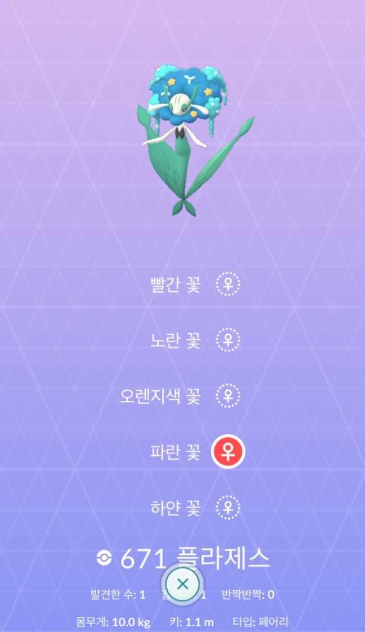 꽃보라화원 이미지