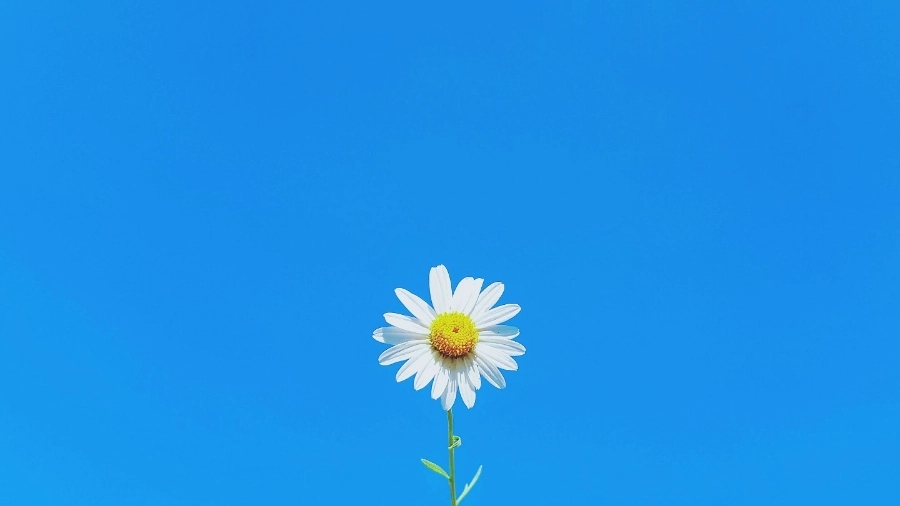 마마스트리 이미지