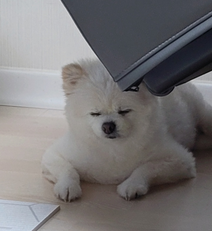 강두부 이미지