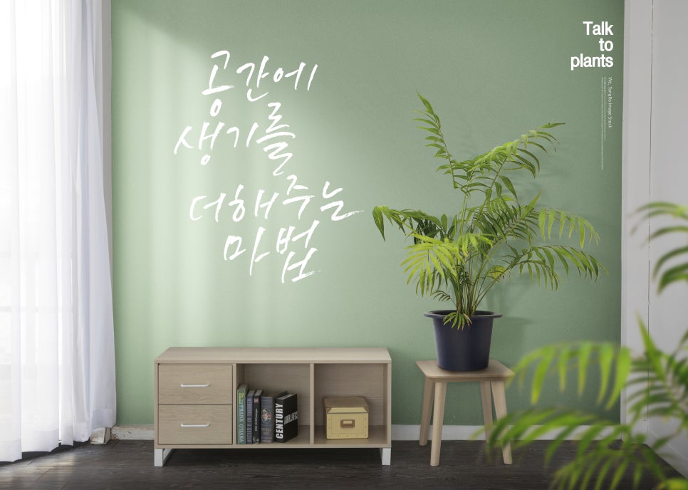 안의원목 이미지