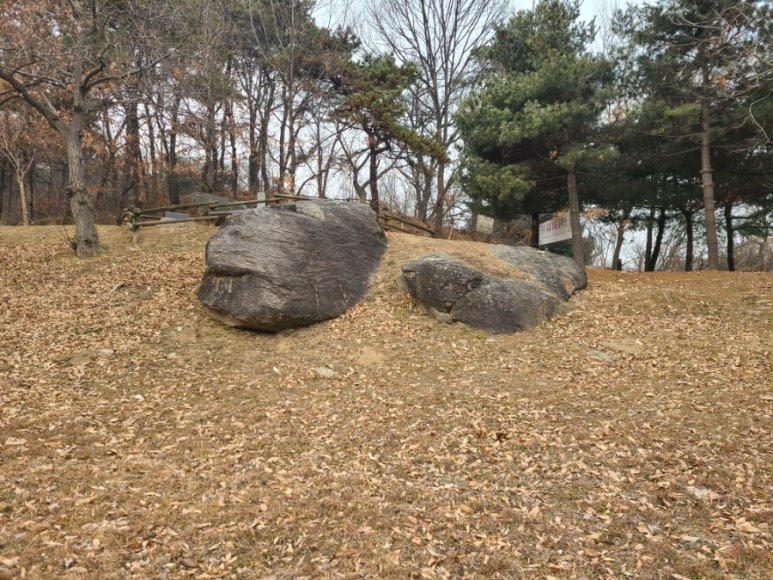 고인돌 유아숲체험원 이미지