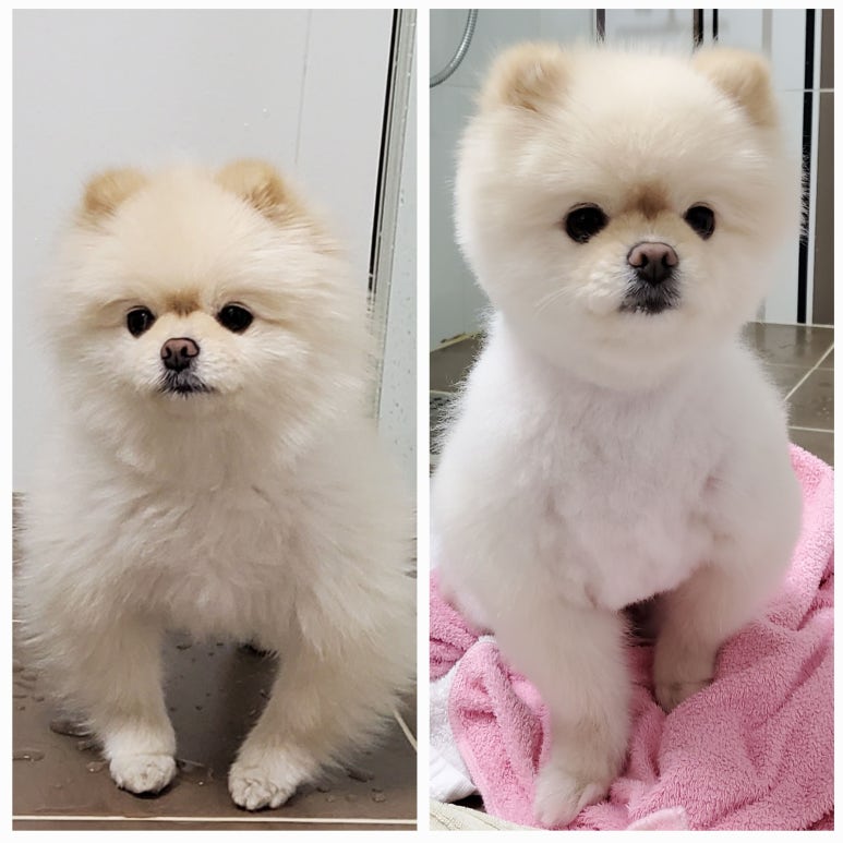 축복미용실 이미지