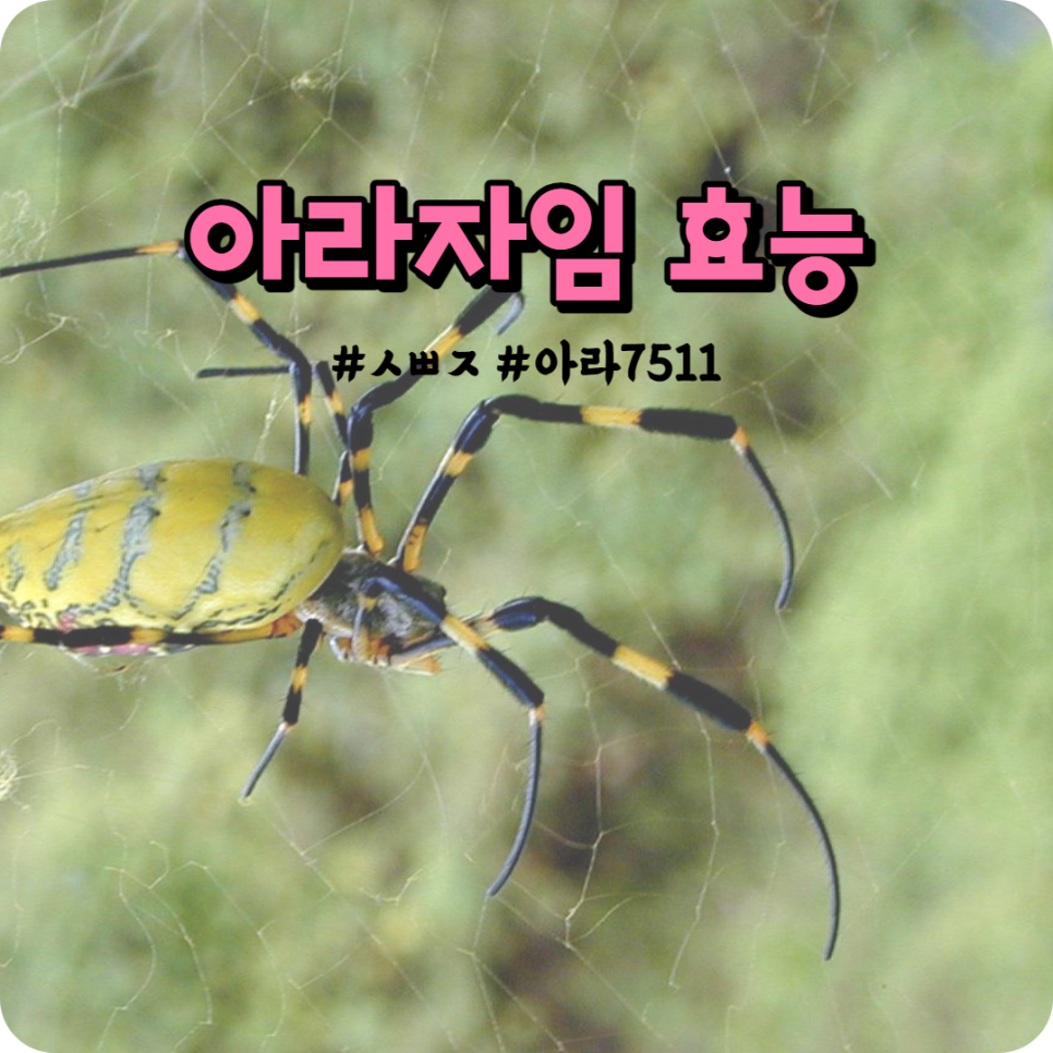 (주)아라케어 이미지