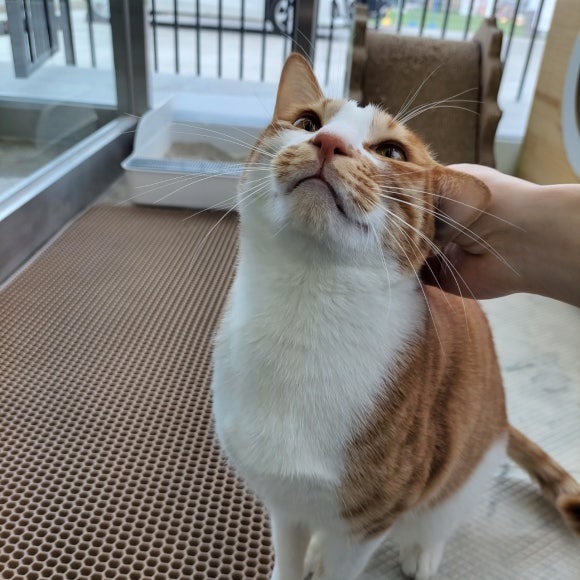 이마루 이미지