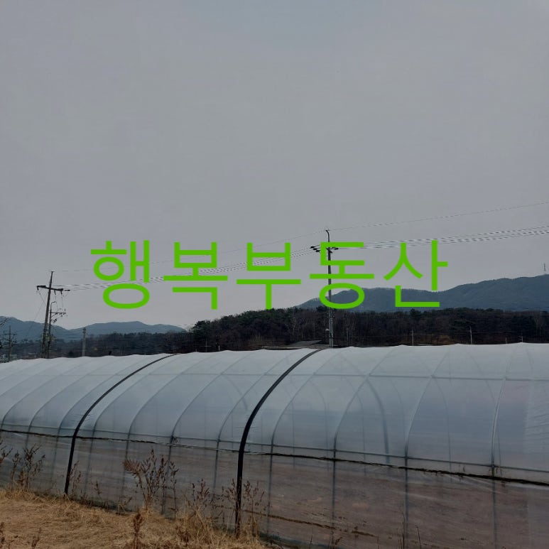 산이농협주유소 이미지