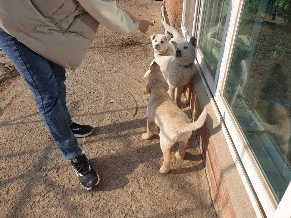 또또마을 이미지