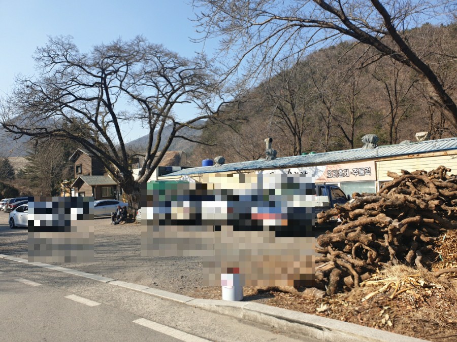 오르칼국수 이미지