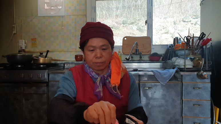 단단이네 이미지
