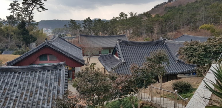 해동항공여행사 이미지