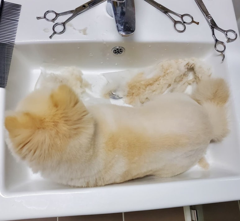 축복미용실 이미지