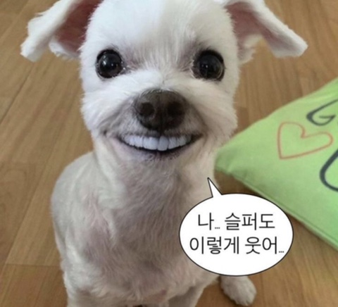 페스코 이미지