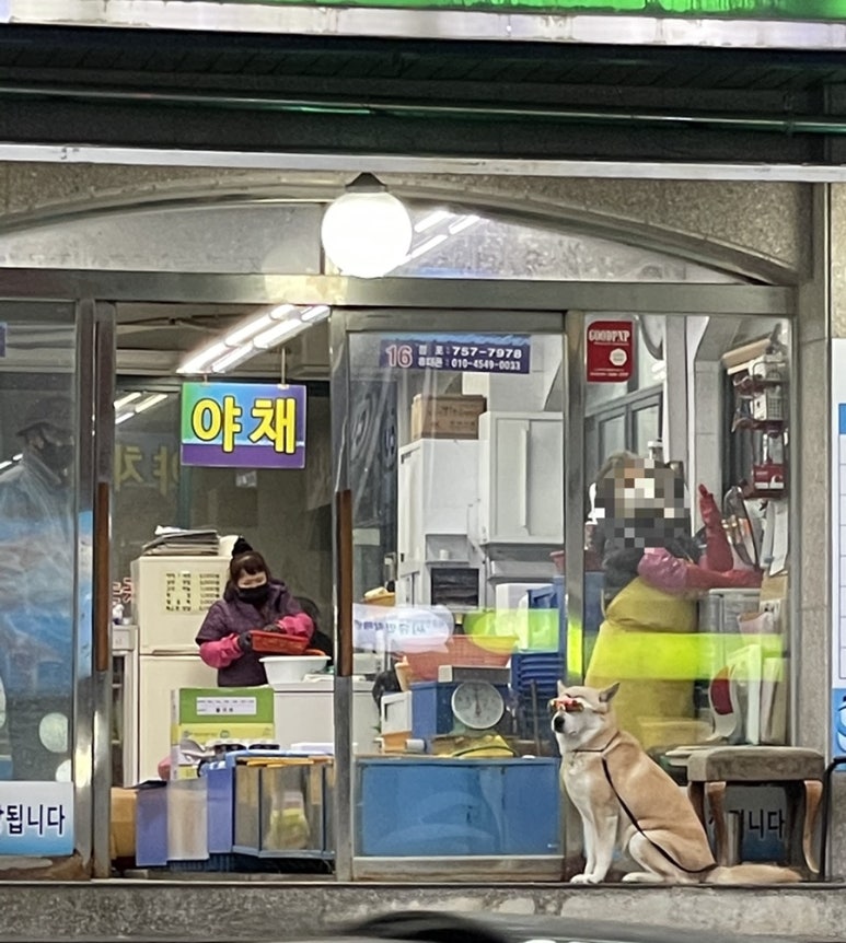 송원돼지국밥 이미지