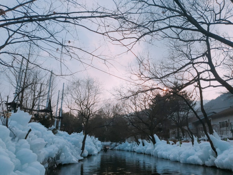 부산에듀팜 이미지
