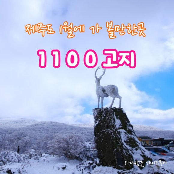 와니코스 이미지