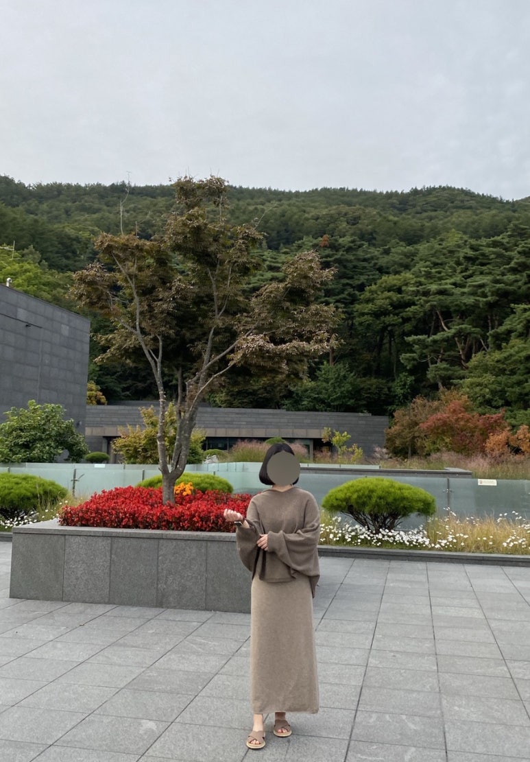 도산점더캐시미어 이미지