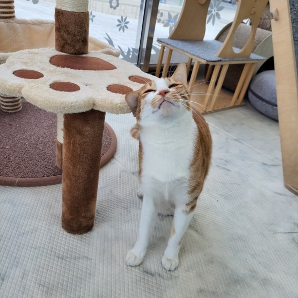 이마루 이미지