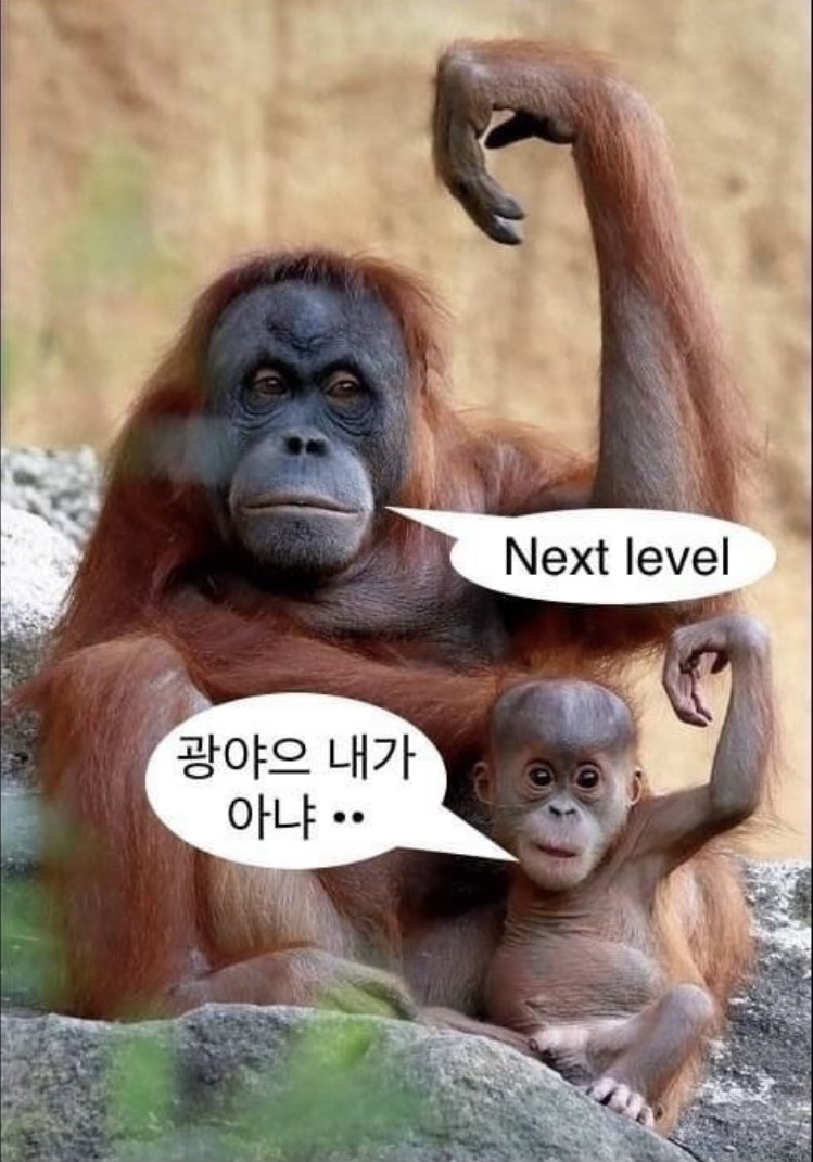 슈퍼스타코인노래연습장 이미지