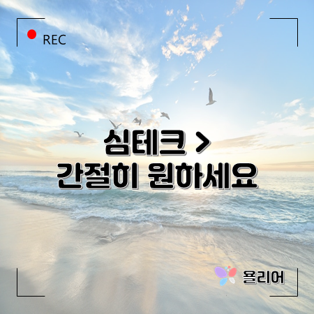 심테크 이미지