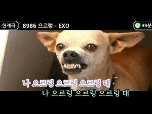 열넷 이미지