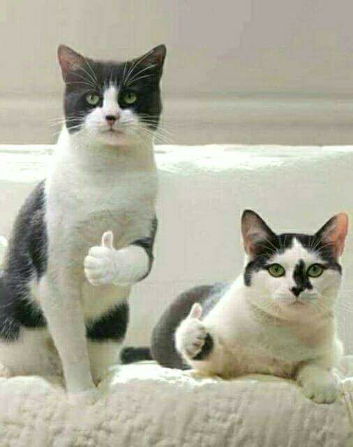 늘,고운피부 이미지