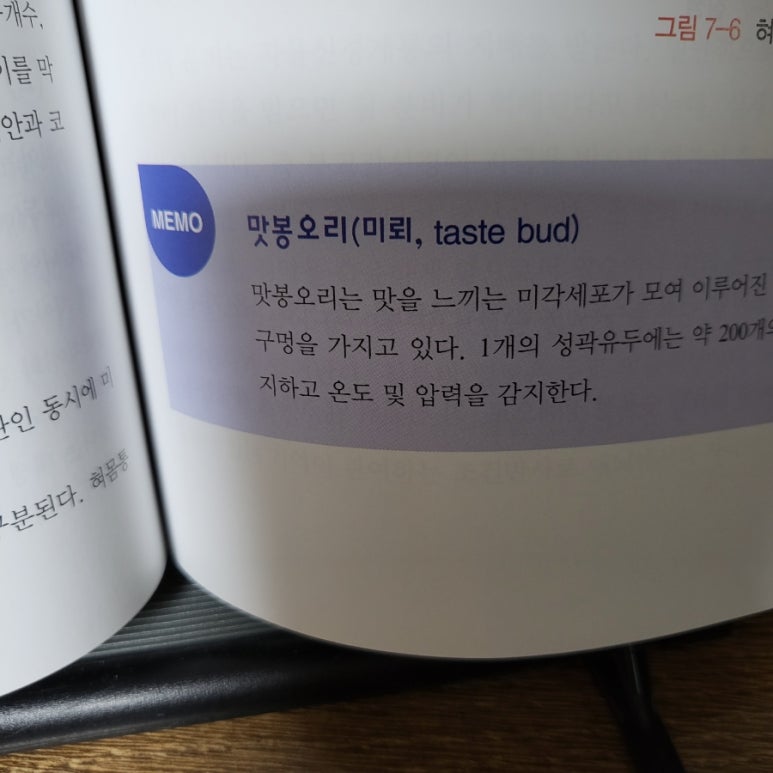 사니산이 이미지