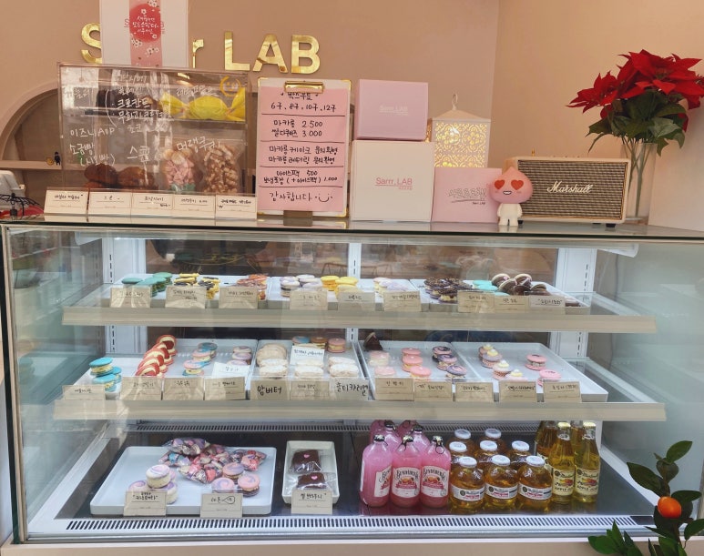 사르르르랩(Sarrr-LAB) 이미지
