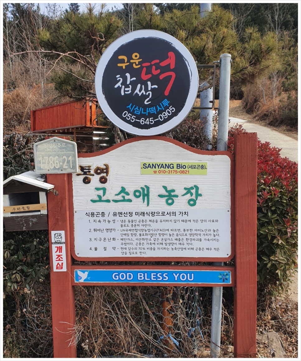 시심나떡시루 이미지