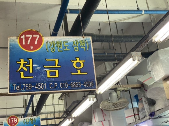 천금호 이미지