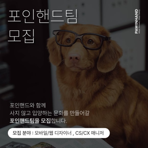 포인핸드 이미지