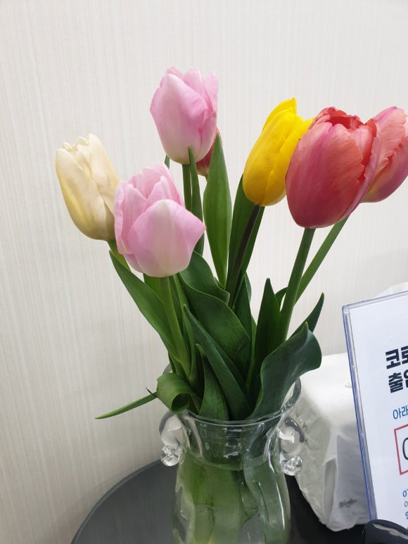 변호사박승범법률사무소 이미지