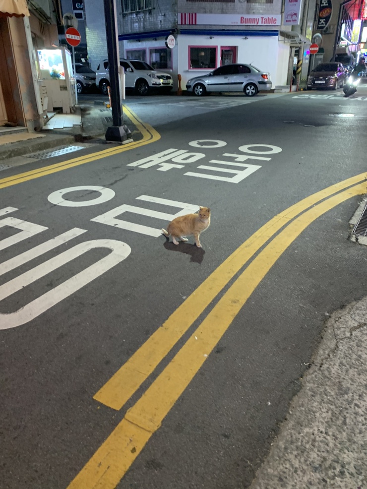 동아리꼬치구이 이미지
