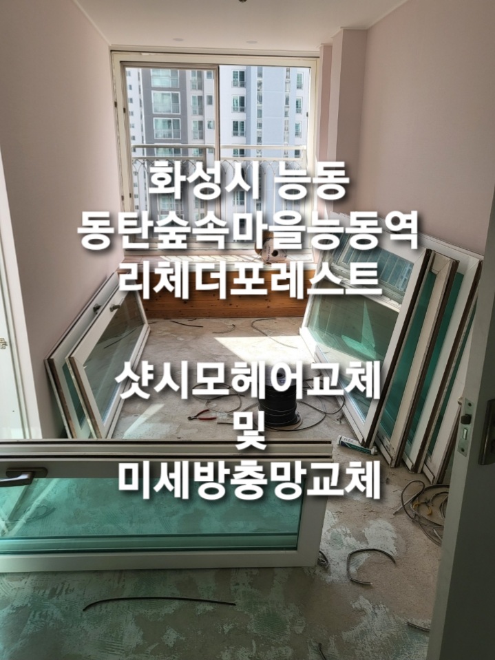 리체헤어 이미지
