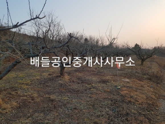 덕산가구마을 이미지