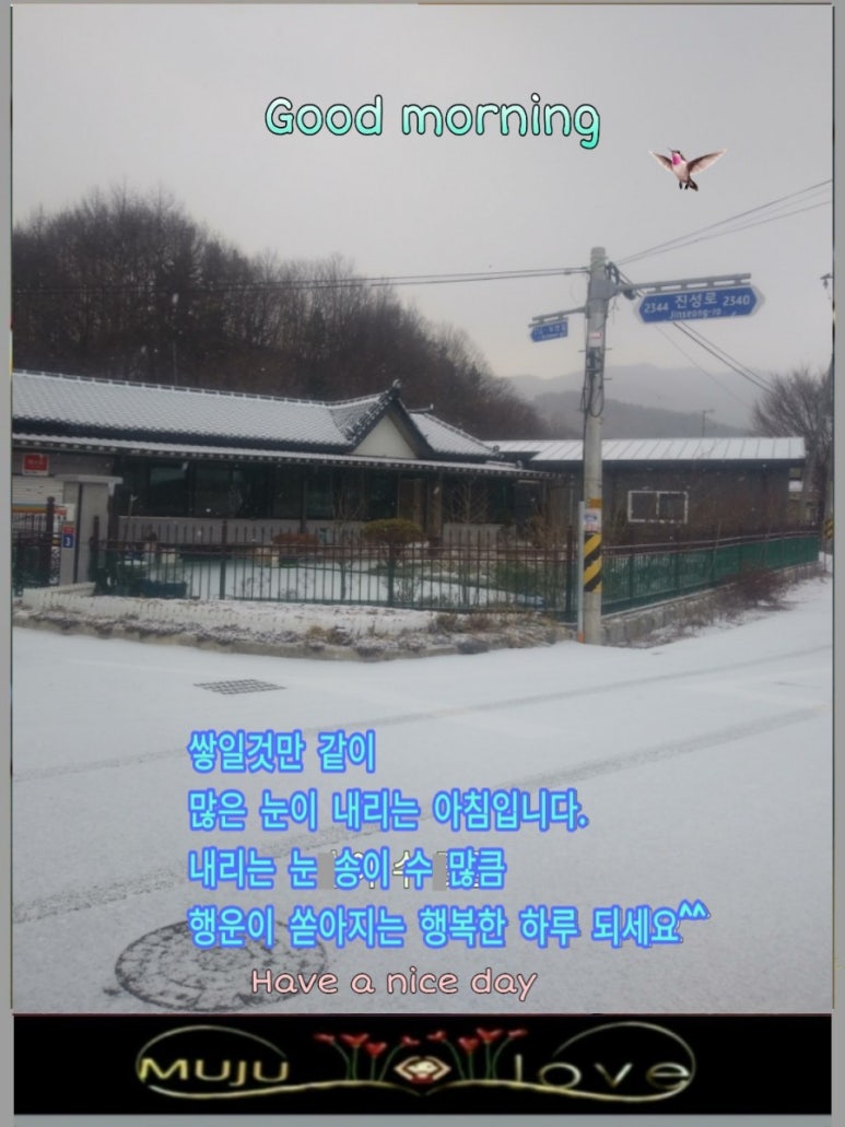 지혜식품 이미지