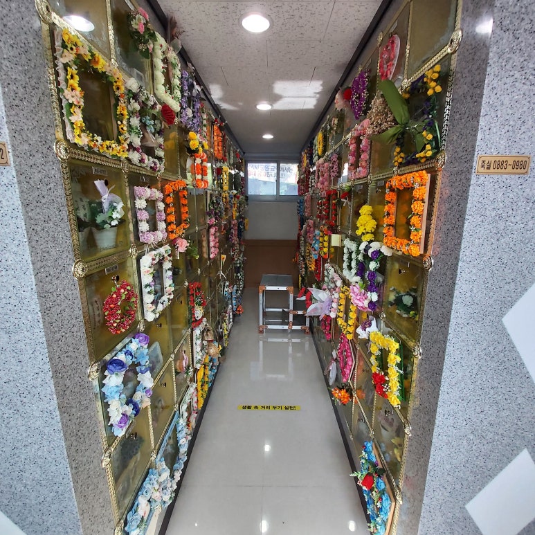 대구의료원 이미지