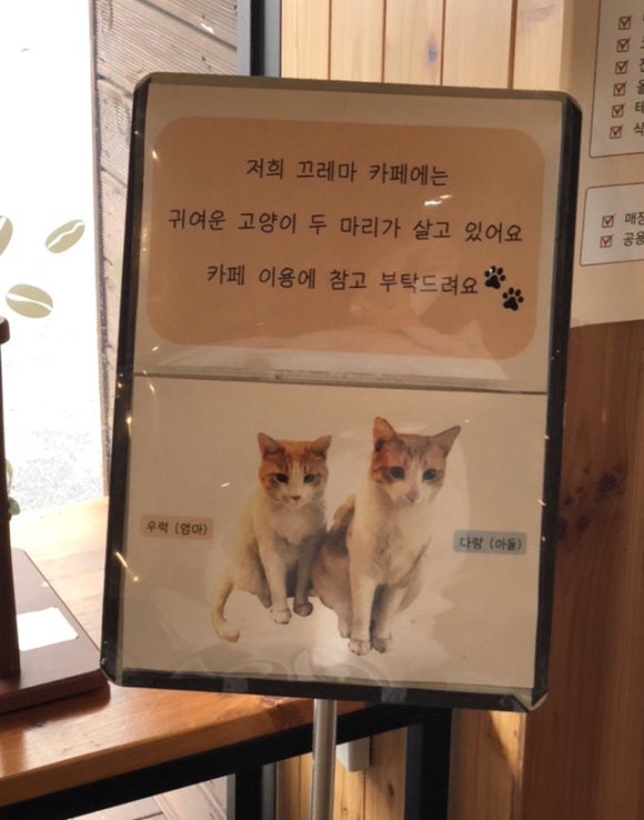 끄레마 이미지
