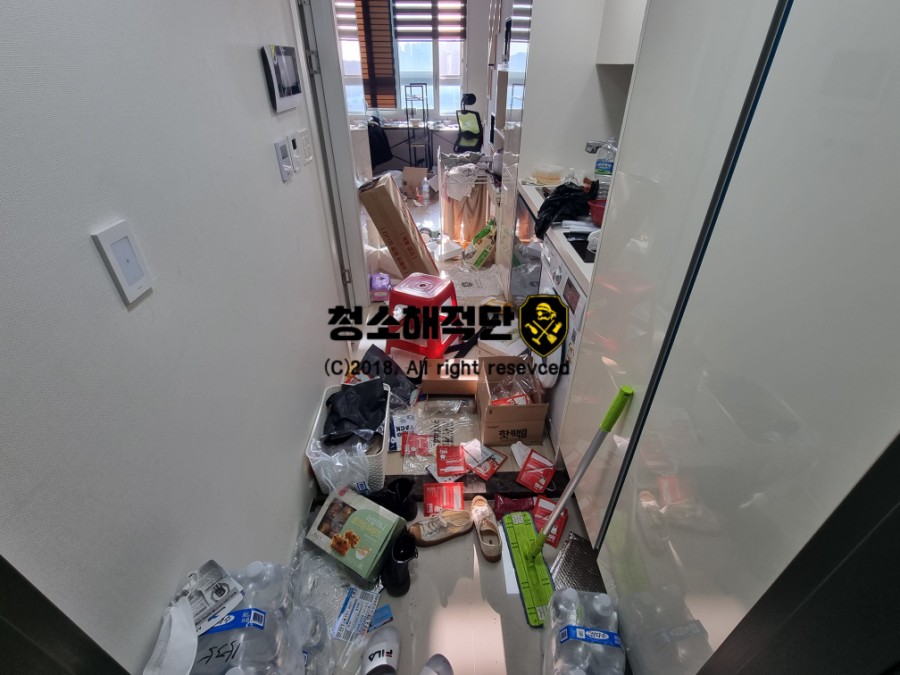 청소해적단 이미지