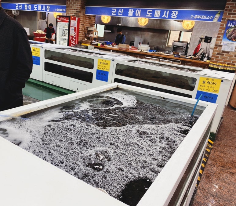 청주군산활어 이미지