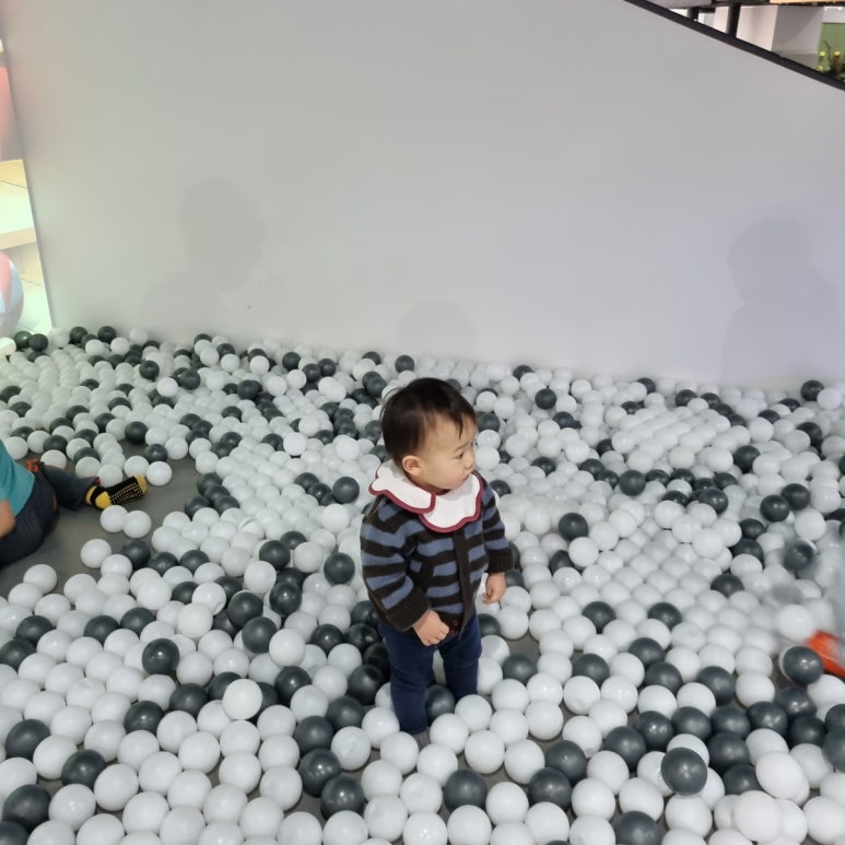코코파파 이미지